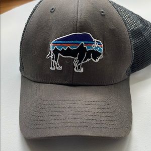 Patagonia Hat